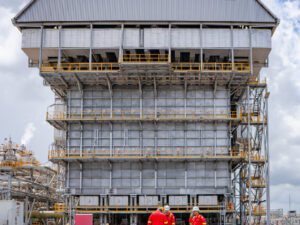 Cgcl Company Profile – Caribbean Gas Chemical Limited